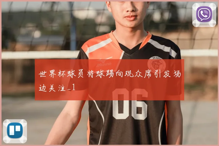 世界杯球员将球踢向观众席引发场边关注_1