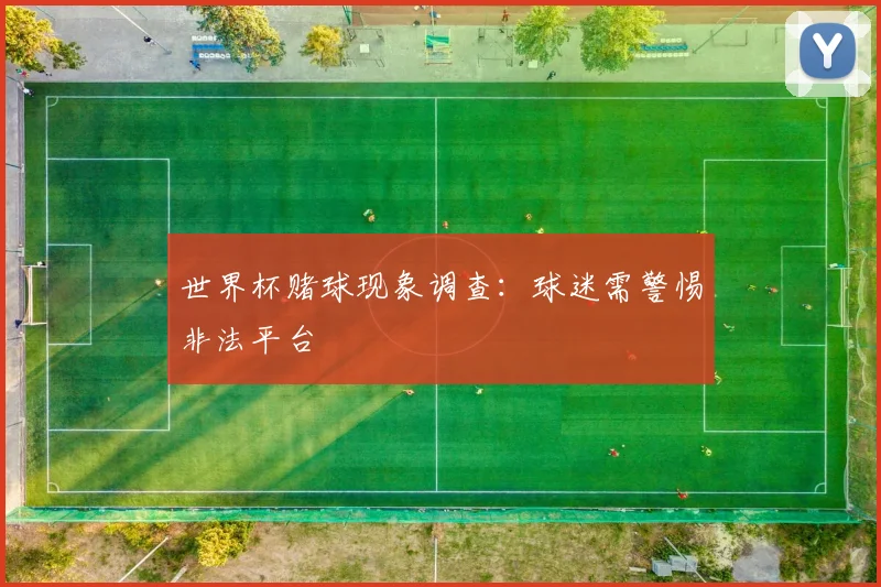 世界杯赌球现象调查：球迷需警惕非法平台