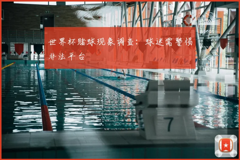 世界杯赌球现象调查：球迷需警惕非法平台