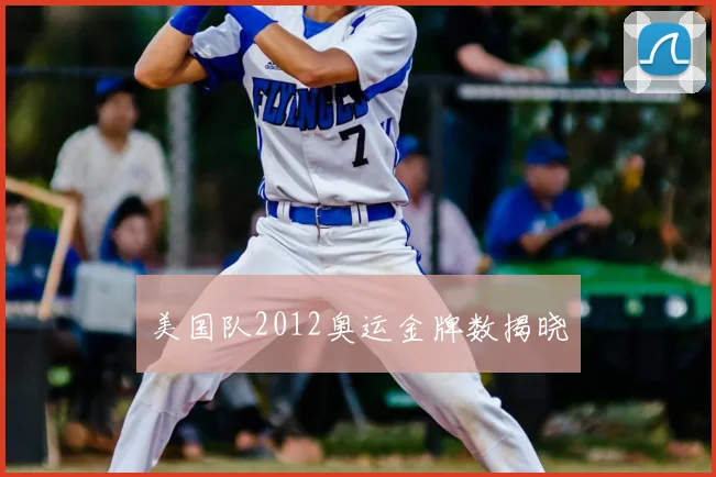 美国队2012奥运金牌数揭晓