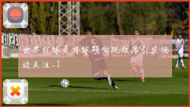 世界杯球员将球踢向观众席引发场边关注_1