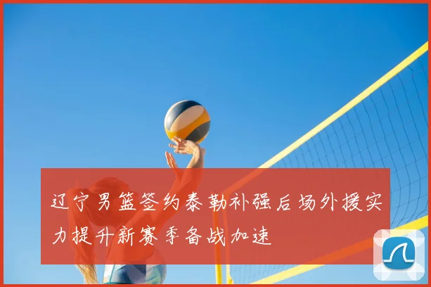 辽宁男篮签约泰勒补强后场外援实力提升新赛季备战加速