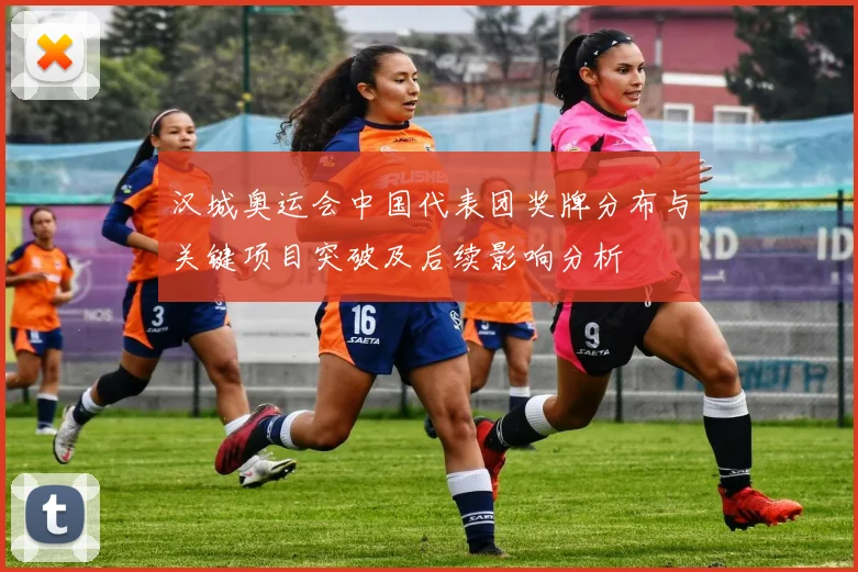 汉城奥运会中国代表团奖牌分布与关键项目突破及后续影响分析