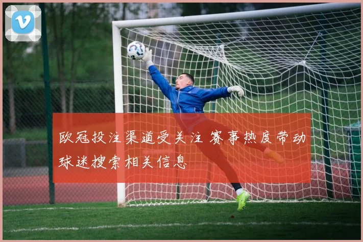 欧冠投注渠道受关注 赛事热度带动球迷搜索相关信息
