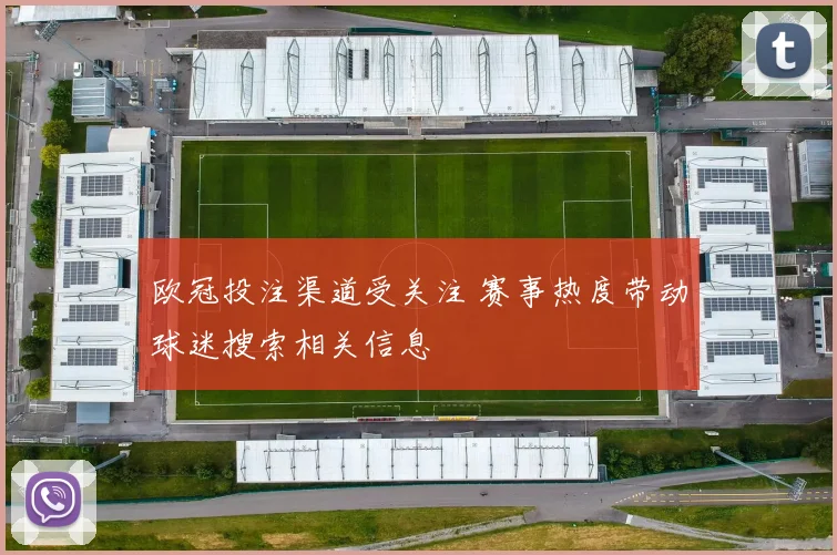 欧冠投注渠道受关注 赛事热度带动球迷搜索相关信息