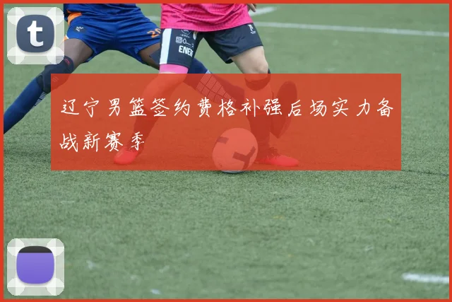 辽宁男篮签约费格补强后场实力备战新赛季